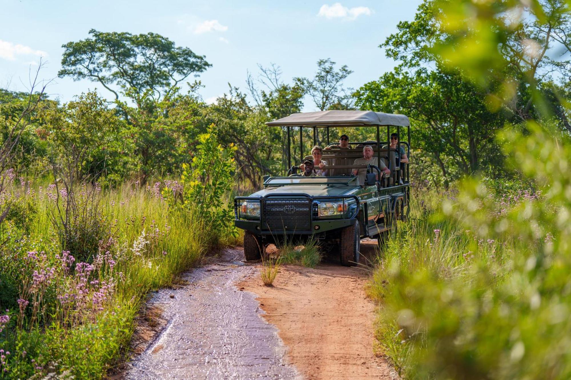 Sediba Luxury Safari Lodge ヴェルハヴォンデン・ゲーム・リザーブ エクステリア 写真